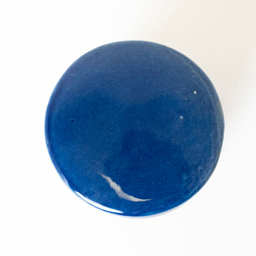 Blue Bliss Cookie Jar - Kalakriti