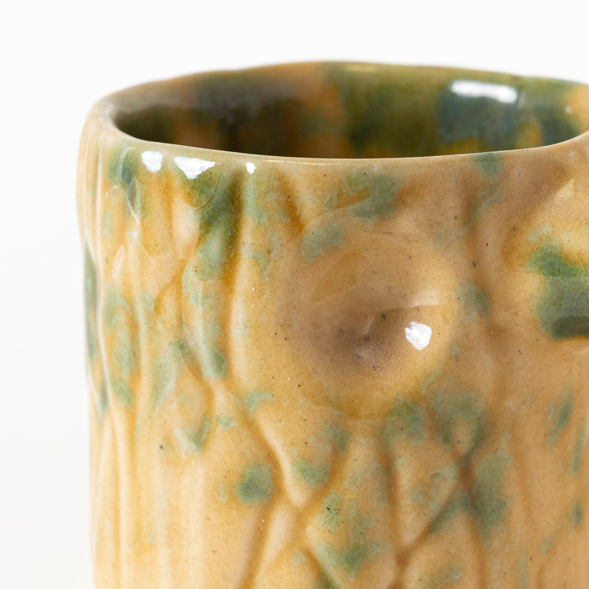 Nature Treasures Tumbler