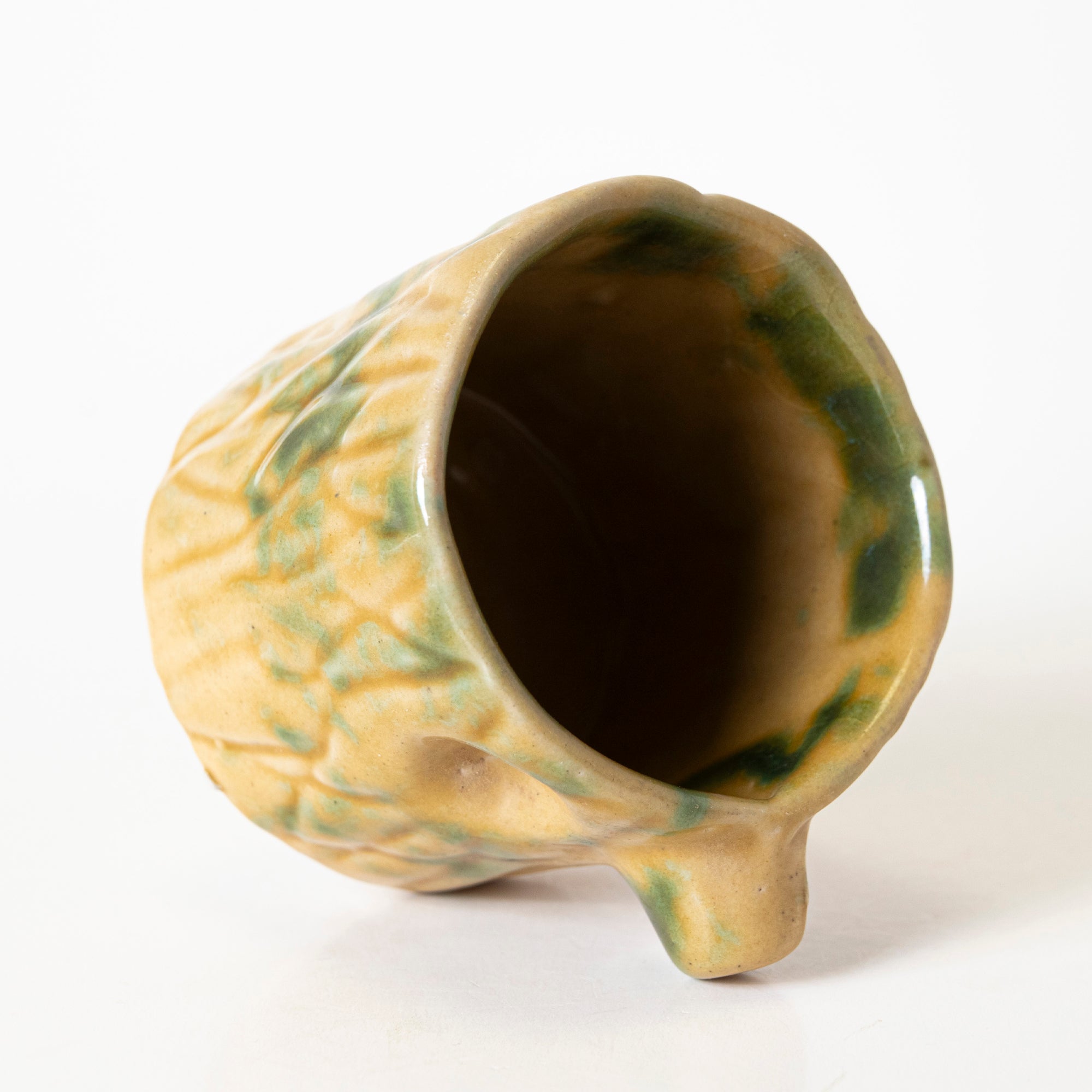 Nature Treasures Tumbler