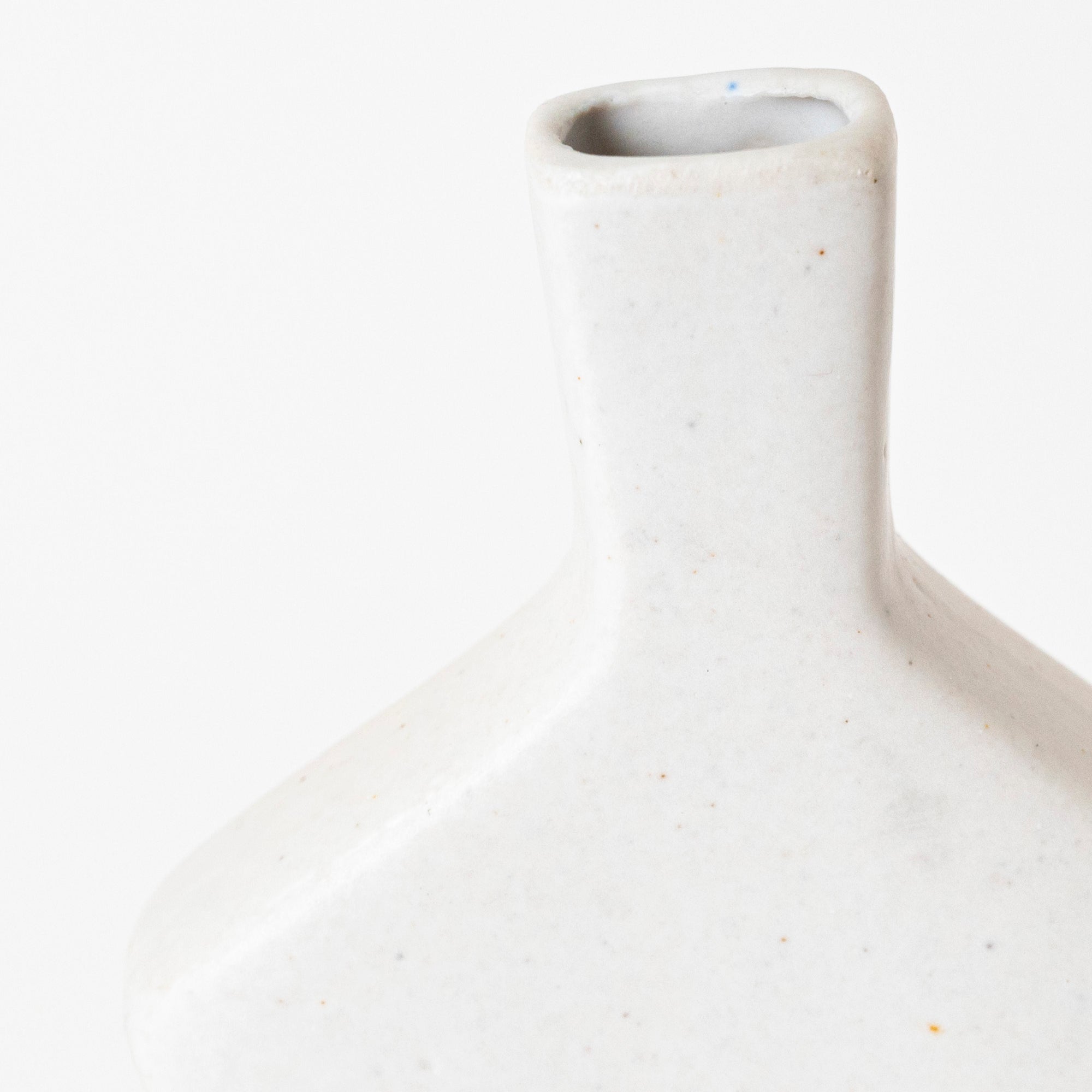 Elegant Essence Vase