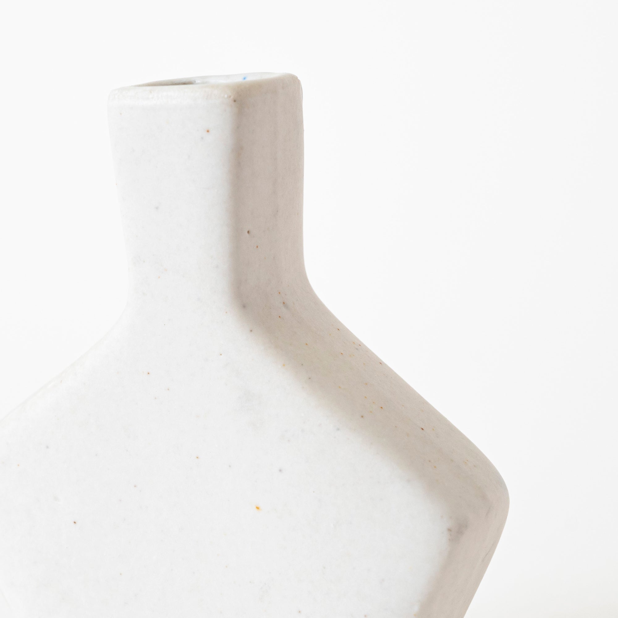 Elegant Essence Vase