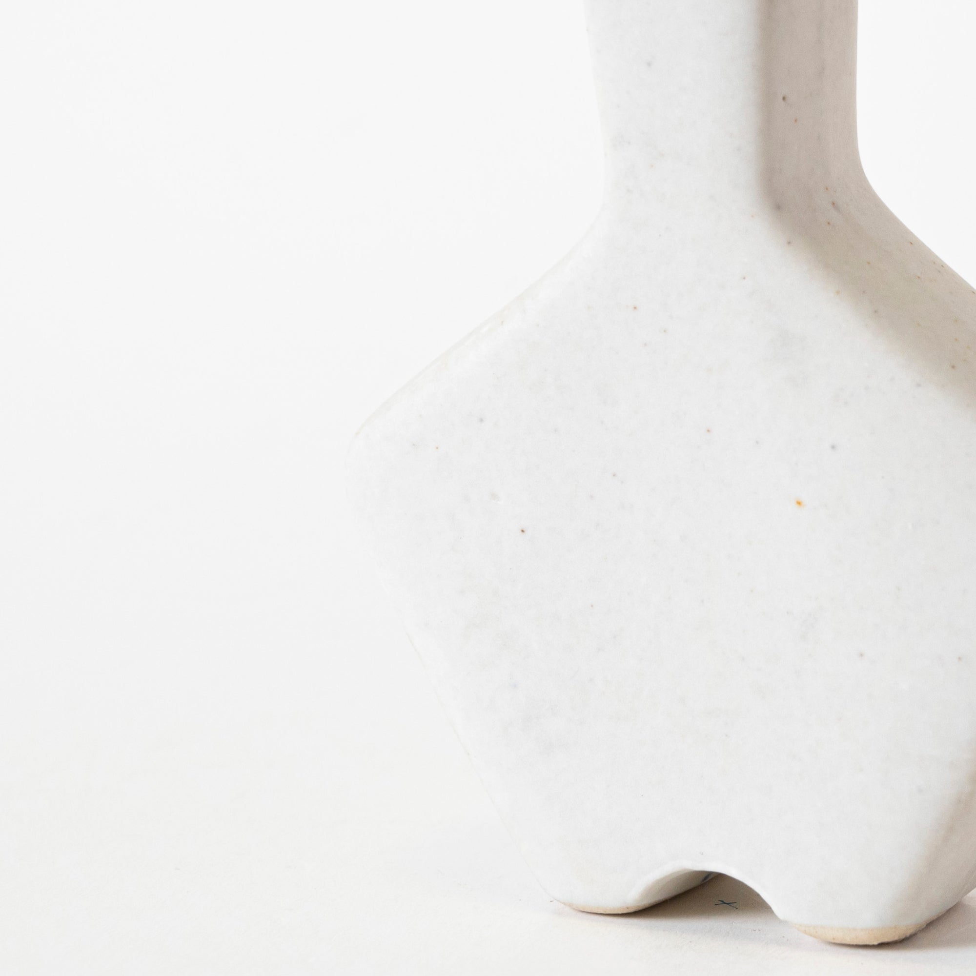 Elegant Essence Vase