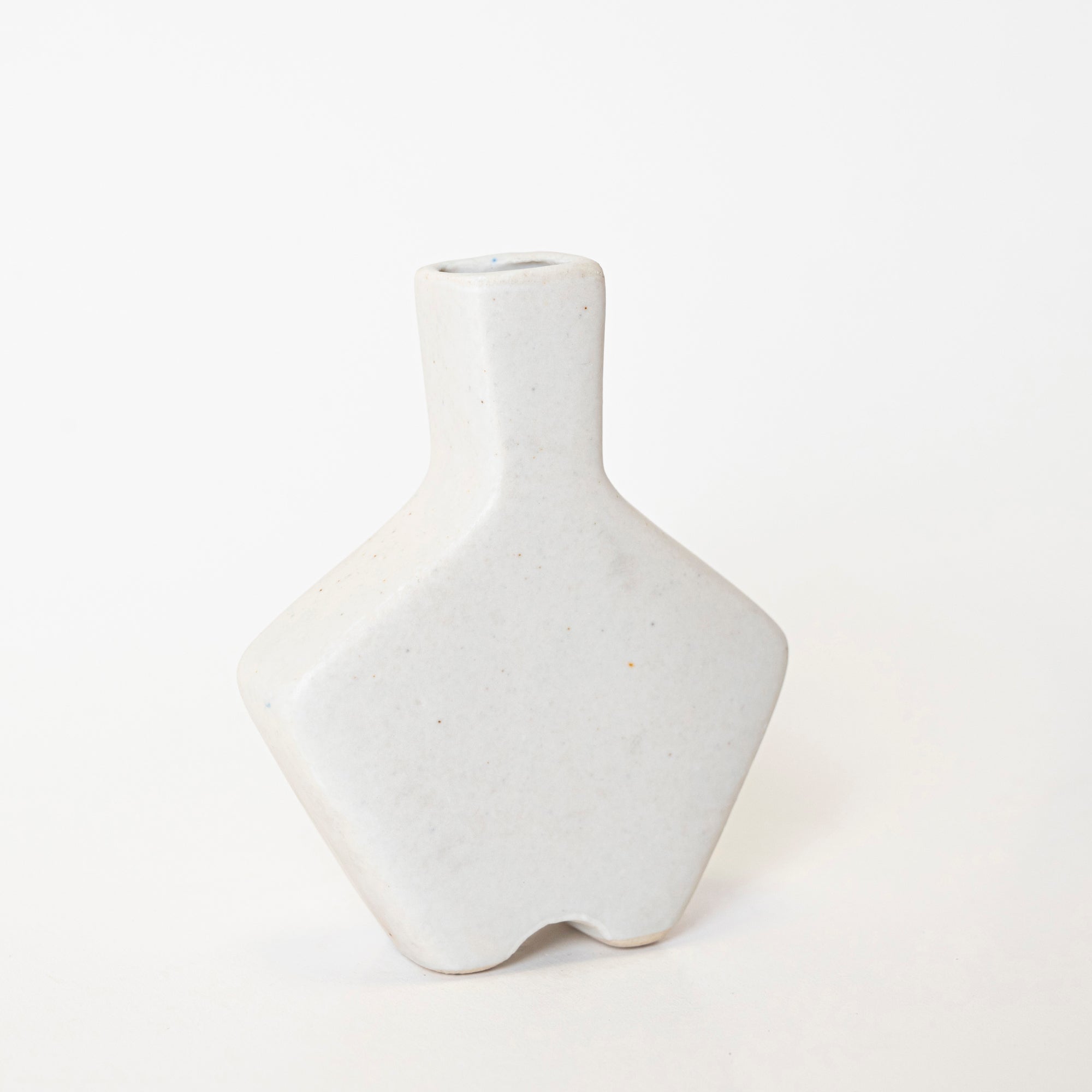 Elegant Essence Vase