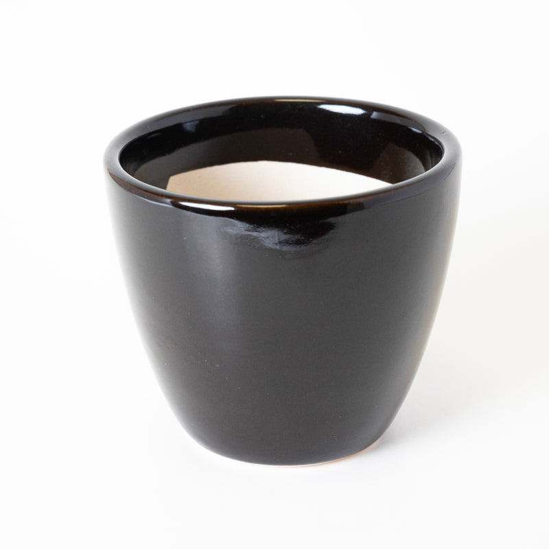 CLASSIC CONTRAST - Kalakriti