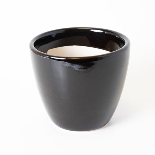 CLASSIC CONTRAST - Kalakriti