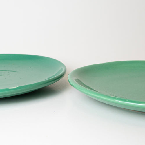 NATURE'S EMBRACE PLATE - Kalakriti