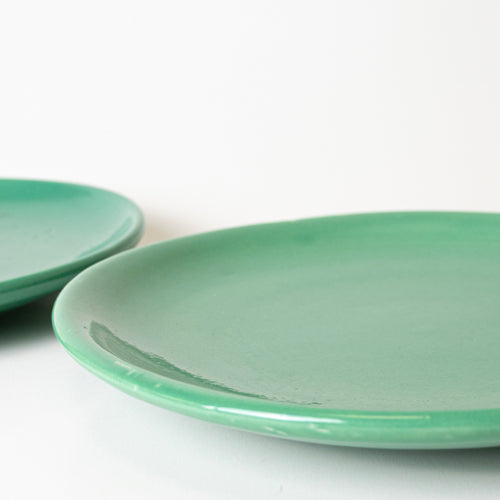 NATURE'S EMBRACE PLATE - Kalakriti