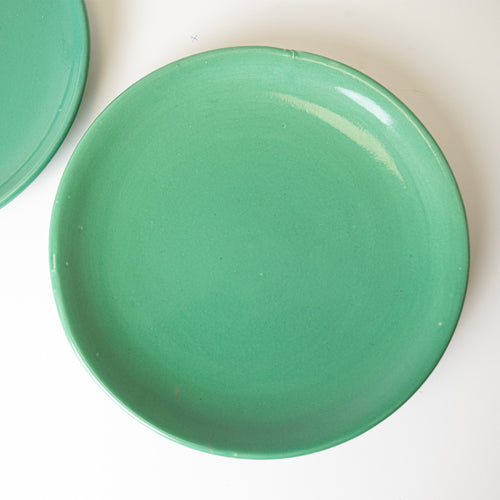 NATURE'S EMBRACE PLATE - Kalakriti