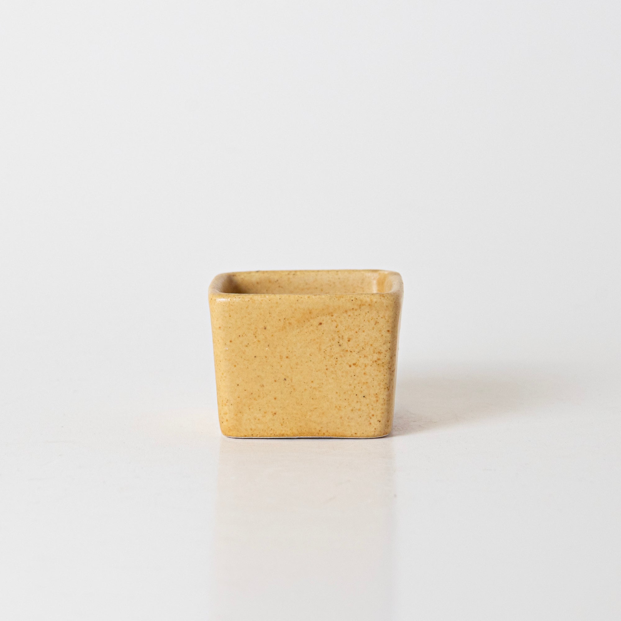 Sunshine Spice Condiment