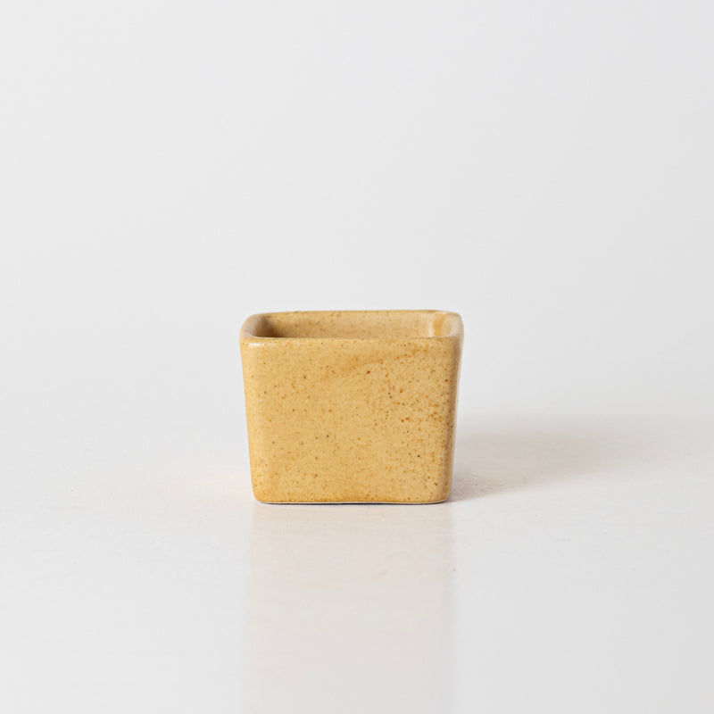 SUNSHINE SPICE CONDIMENT - Kalakriti