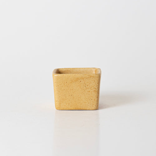 SUNSHINE SPICE CONDIMENT - Kalakriti