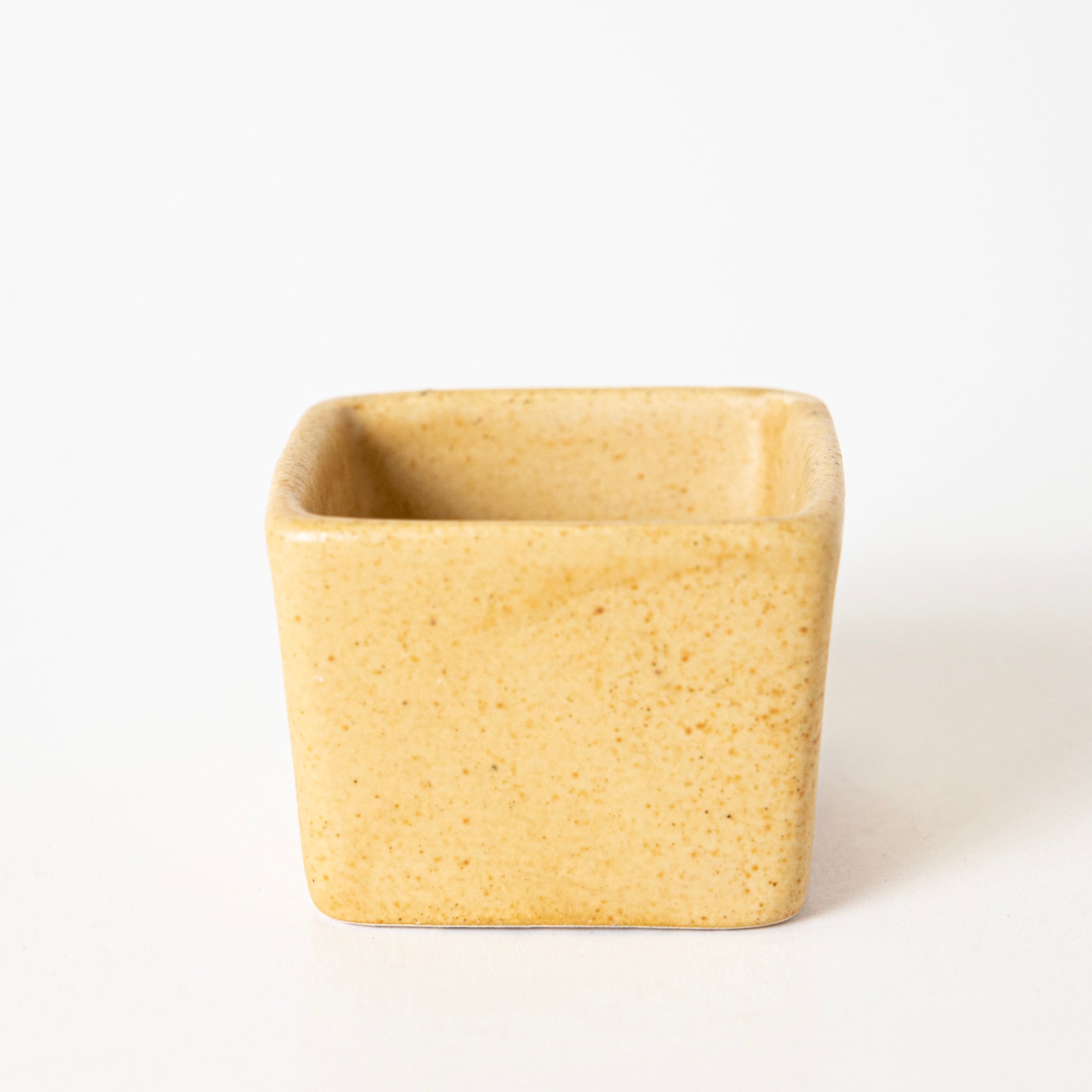 Sunshine Spice Condiment