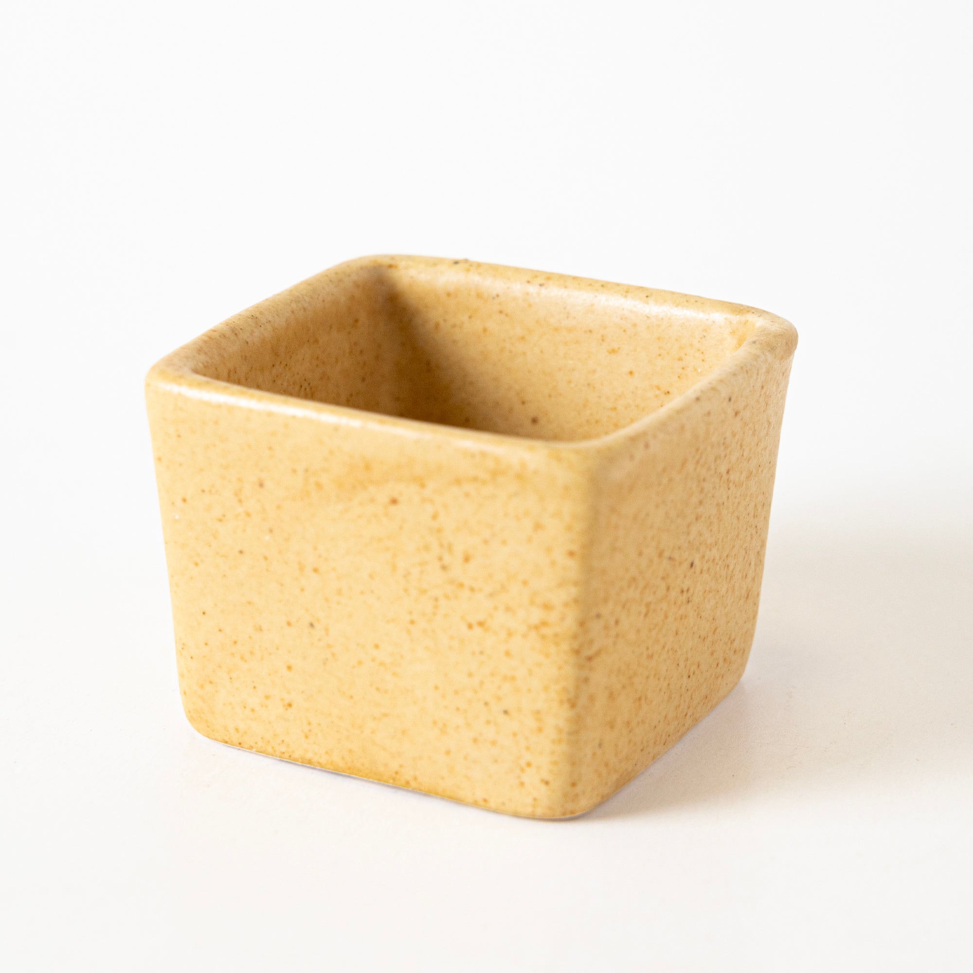 Sunshine Spice Condiment