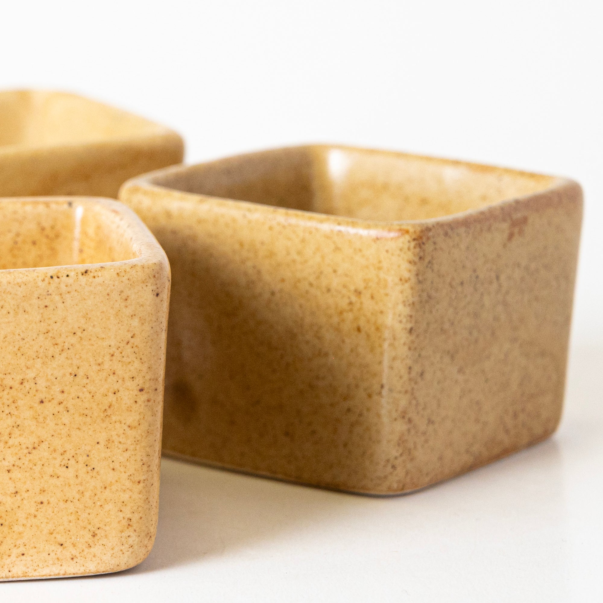 Sunshine Spice Condiment