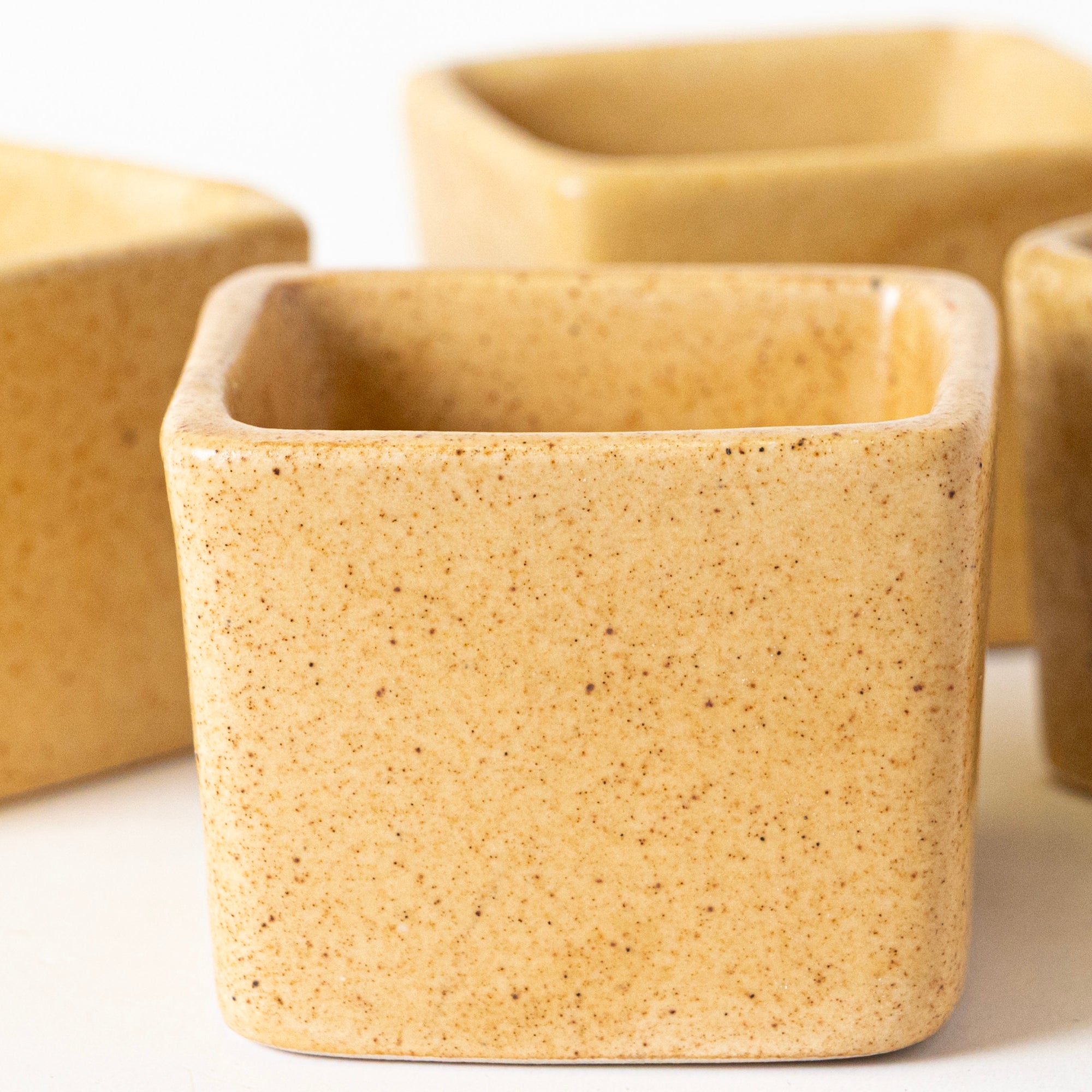 Sunshine Spice Condiment