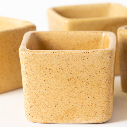 SUNSHINE SPICE CONDIMENT - Kalakriti