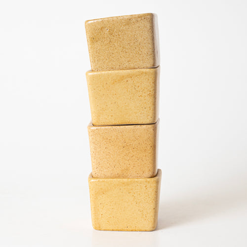 SUNSHINE SPICE CONDIMENT - Kalakriti