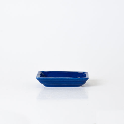 FOREST FUSION CONDIMENT - Kalakriti