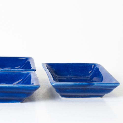 FOREST FUSION CONDIMENT - Kalakriti