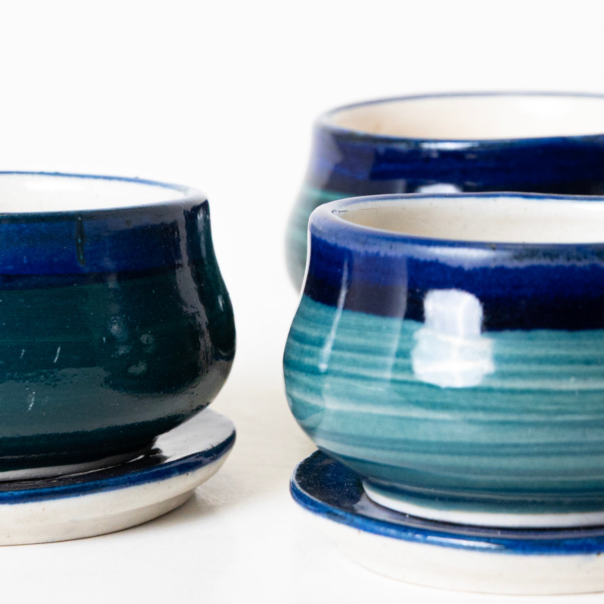 Ocean Reef Condiment