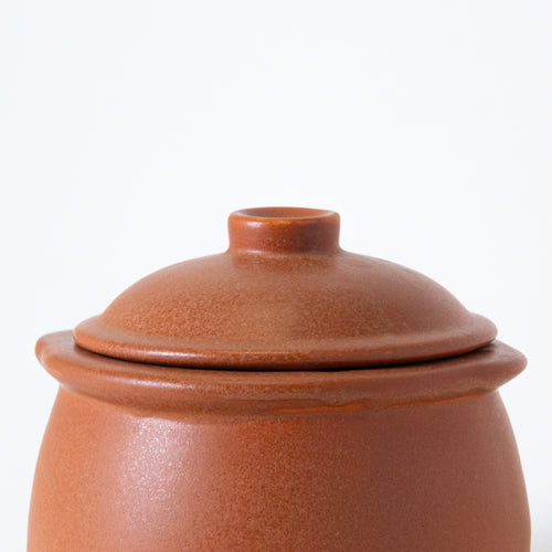 TERRACOTTA DONGA - Kalakriti