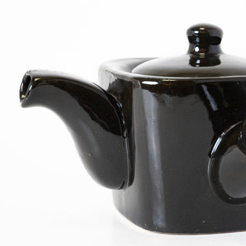 EBONY ELEGANCE KETTLE - Kalakriti