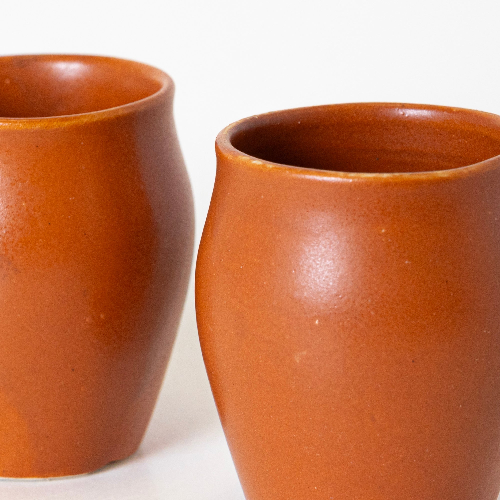 Terra Essence Kulhad